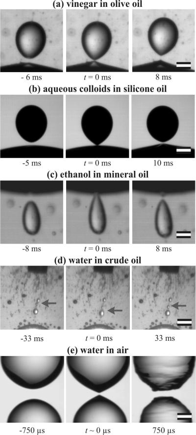 The scientists performed the same experiment in a number of different situations, using both everyday and/or industrially important liquids. Credit W. D. Ristenpart, J. C. Bird, and A. Belmonte.