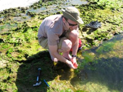 Todd LaJeunesse peering into a tide pool.