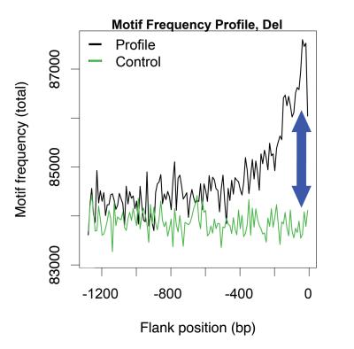 This chart shows the type of data used in a multi-scale wavelet analysis. Both lines indicate the frequency of recognition sites for the enzyme topoisomerase. 