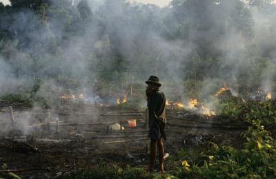 A farmer in West Kalimantan (Indonesian Borneo) uses fire to clear rainforest for planting. As climate change causes many areas to warm and dry, fires may become more frequent and more difficult to control, having serious impacts rainforest species. Credit: Jedediah Brodie