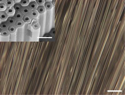 A bed of amorphous hydrogenated silicon wires that were prepared in the pores of optical fibers.  The wires have been chemically etched out of the optical fiber to reveal them.  Scale bar is 100 um.  Inset: An array of amorphous hydrogenated silicon tubes deposited in an optical fiber.  The optical fiber has been cleaved in half to reveal the array of tubes. The very thin glass walls of the fiber surrounding each tube are largely obscured.  Scale bar is 5um. Credit: John Badding lab, Penn State University.