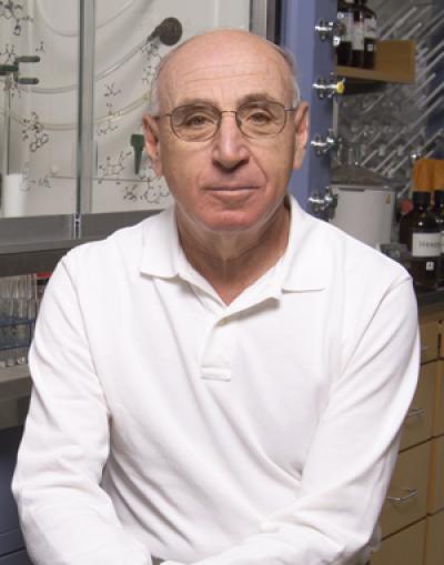 Weinreb Named a 2011 Fellow of the American Chemical Society