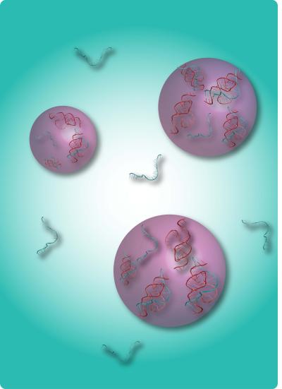 RNA strands and RNA enzymes coming together within droplets of dextran
