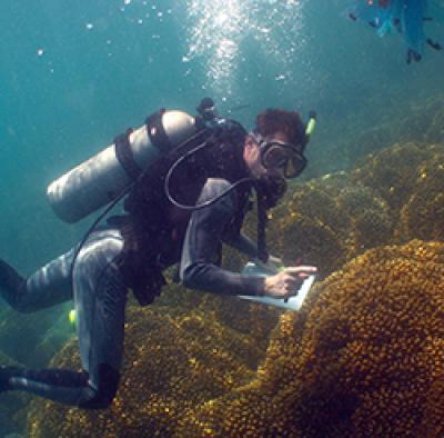 Credit: Matt Aschaffenburg, University of Delaware