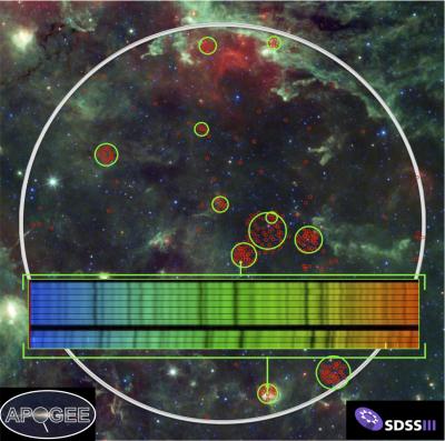 This "first-light" field of stars observed byAPOGEE keys in on a large region in the disk of our galaxy towards the constellation Cygnus. Credit: P. Frinchaboy (Texas Christian University), J. Holtzman (New Mexico State University), M. Skrutskie (University of Virginia), G. Zasowski (University of Virginia), NASA, JPL-Caltech and the WISE Team.