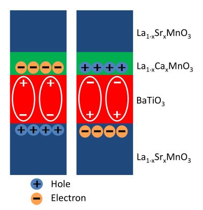 Schematic drawing of the multiferroic tunnel junction of two polarization configurations. The red layer is the ferroelectric barrier and the green layer is the interface that undergoes metal-to-insulator as well as magnetic-phase transition when the barrier polarization is reversed. Credit: Li lab, Penn State University