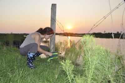 Jenny Tennessen deployed an acoustic recorder adjacent to a wetland in central Florida. The unit was programmed to passively record the nighttime animal orchestra for several evenings. Credit: Jenny Tennessen