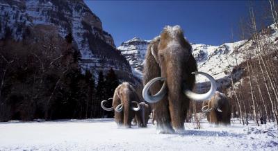 Woolly mammoths Credit: Image Courtesy of Giant Screen Films © 2012 D3D Ice Age, LLC