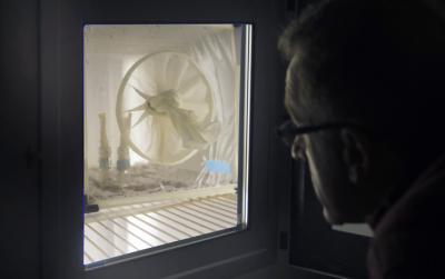 Andrew Read, director of the Center for Infectious Disease Dynamics and Evan Pugh Professor of Biology and Entomology at Penn State, assesses the impact of temperature fluctuations on mosquitos in the insectary at University Park. The insectary's environmental chambers allow researchers to conduct experiments involving temperature variations, insecticides, and behavioral assessments on insects. Image: Patrick Mansell