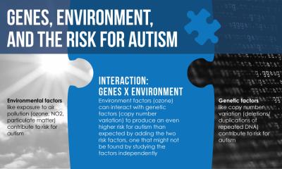 Genes, Environment, and the Risk for Autism: Environment factors (ozone) can interact with genetic factors (copy number variation) to produce an even higher risk for autism than expected by adding the two risk factors, one that might not be found by studying the factors independently. Credit: Penn State University
