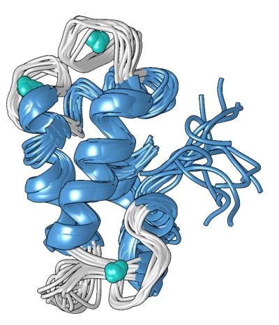 A structural model of the compact metal-bound form of the lanmodulin protein, which is 100-million times better at binding to lanthanides—the rare-earth metals used in smartphones and other technologies—than to other metals like calcium. Credit: Penn State