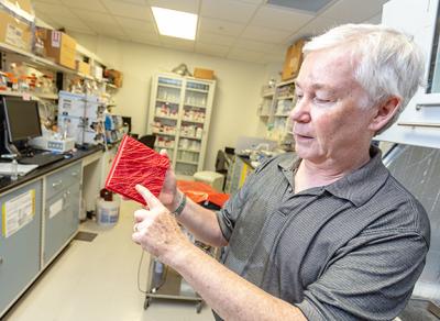 Daniel Cosgrove, Professor and Holder of the Eberly Chair in Biology and director of the Center for Lignocellulose Structure and Formation, holds a 3D-printed model of a plant cell wall. Credit: Nate Follmer, Penn State