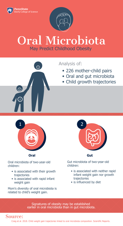 The composition of oral microbiota -- the collection of microorganisms, including beneficial bacteria, residing in the mouth -- in two-year-old children may predict their weight gain, according to a new study of over 226 children and their mothers. Credit: Penn State (Click to enlarge)