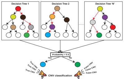 A random-forest, machine-learning method for identifying copy number variation from exome-sequencing data. A forest of hundreds of decision trees is trained on a validated set of genetic deletions and duplication, the model built from these trees can then be used to accurately identify copy number variation in sample exome-sequencing data. Credit: Girirajan Laboratory, Penn State
