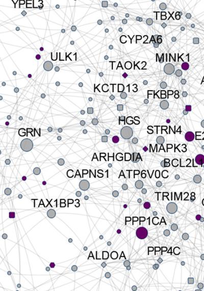 Complex illustration of similar genes in flies and humans.
