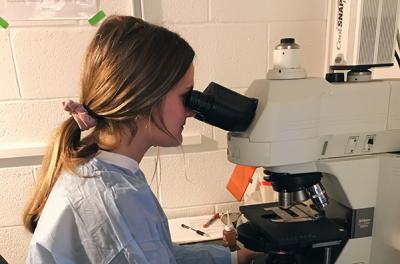 Image of Anna Brogan working at the microscope in the lab