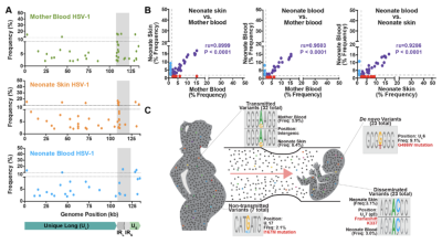 Personalized viral genomic investigation of herpes simplex virus 1 perinatal viremic transmission with dual fatality