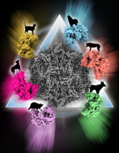 virus with animals illustration