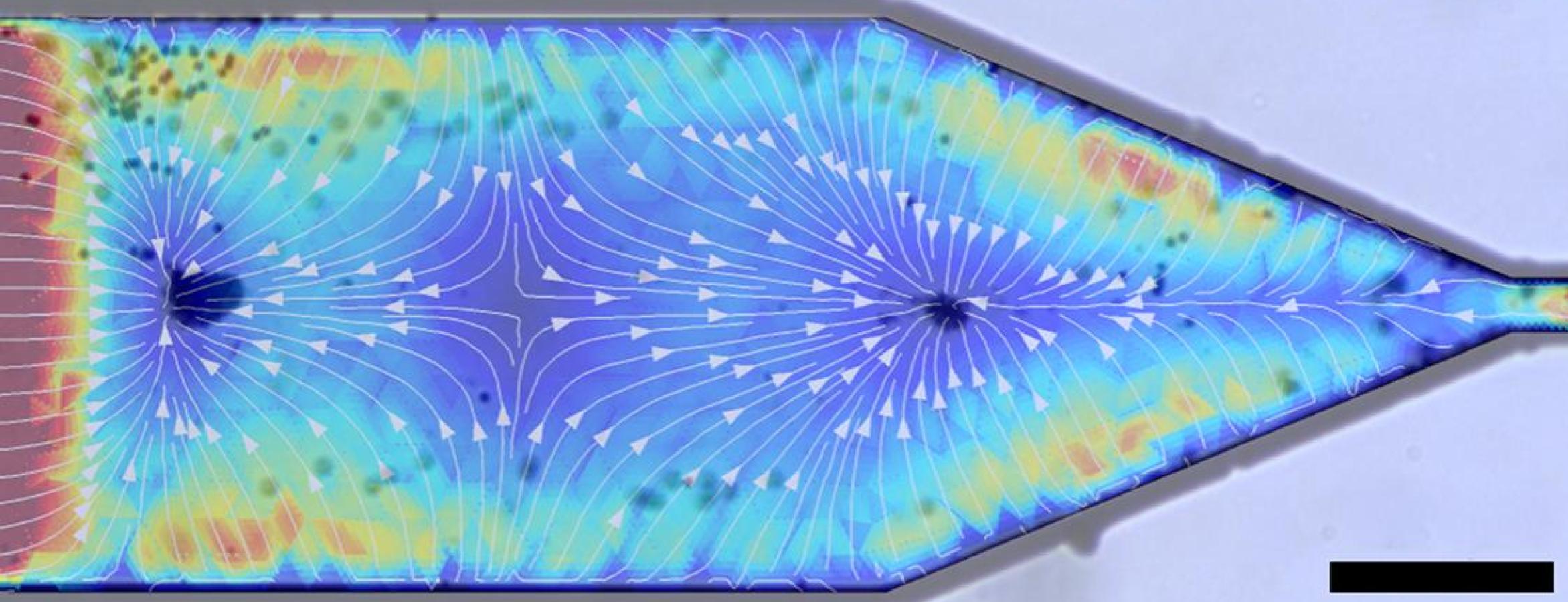 colorful image of model of nanorods in a microfluid