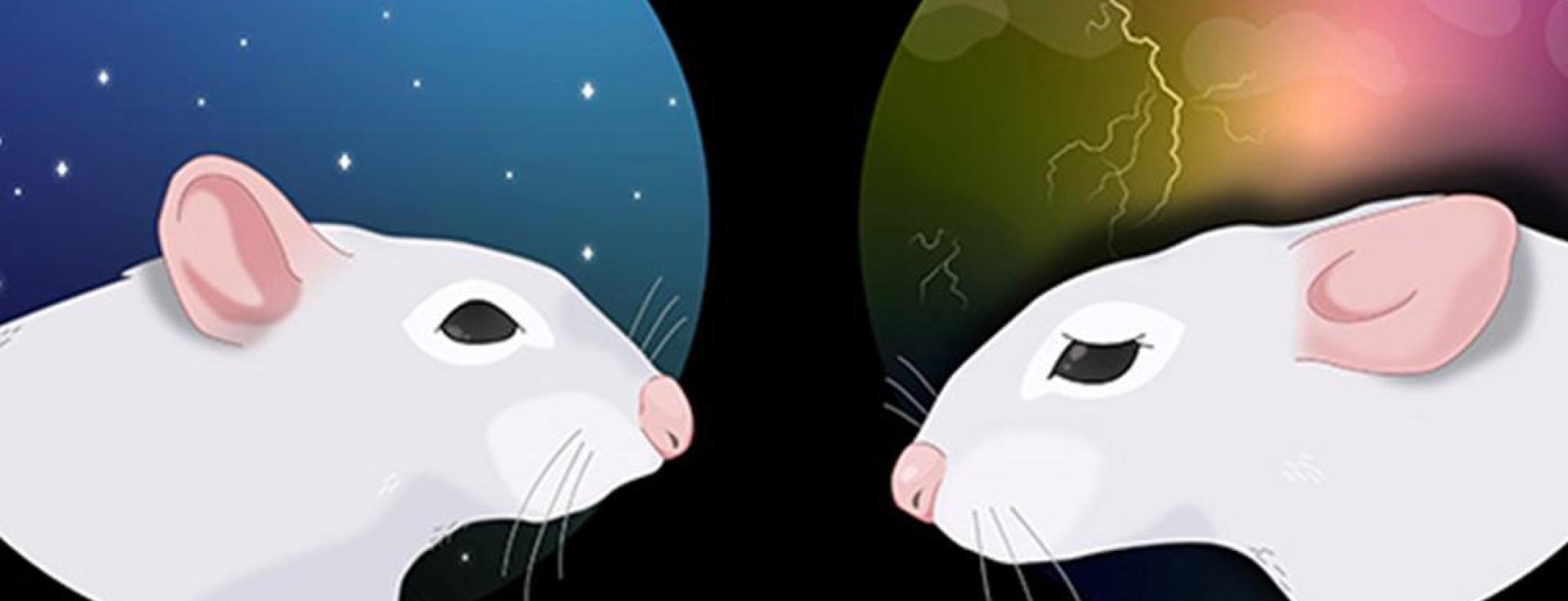 illustration of two mice looking at each other with bubbles above them depicting dreams