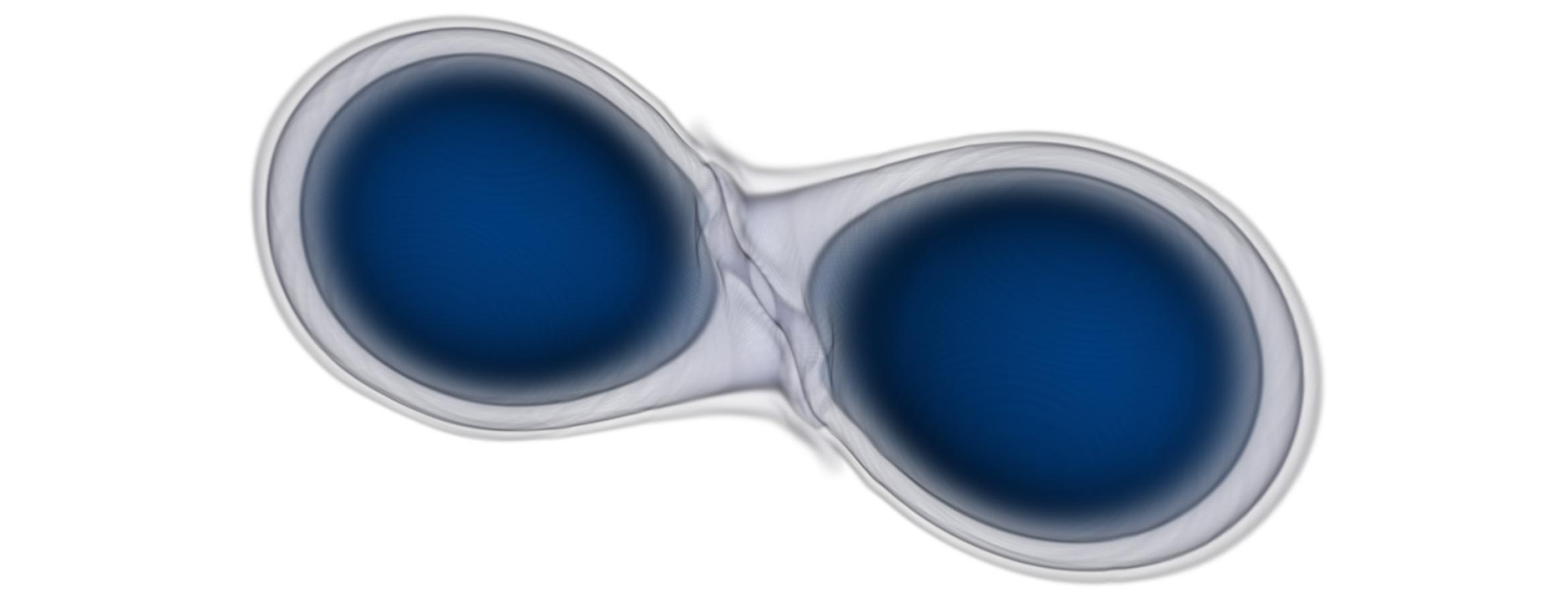 simulation of two neutron stars merging