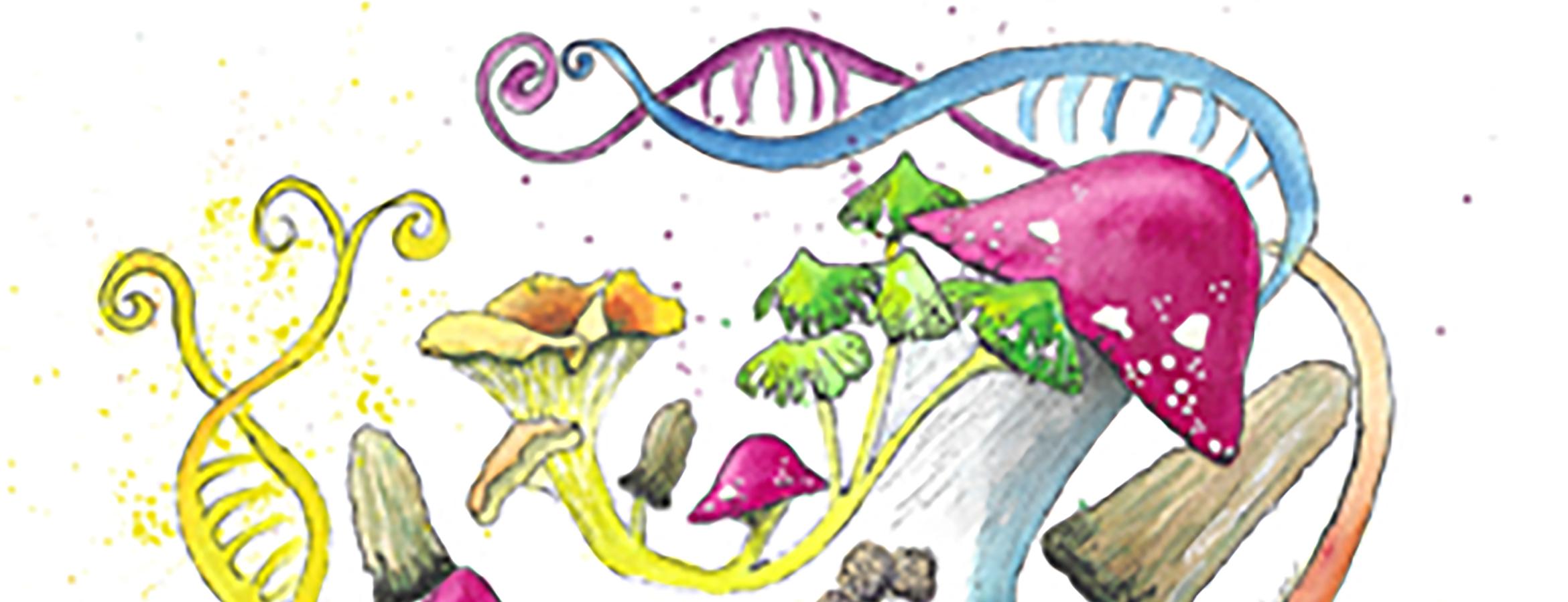 Painting showing mushrooms and other fungi growing out of stylized DNA double helix