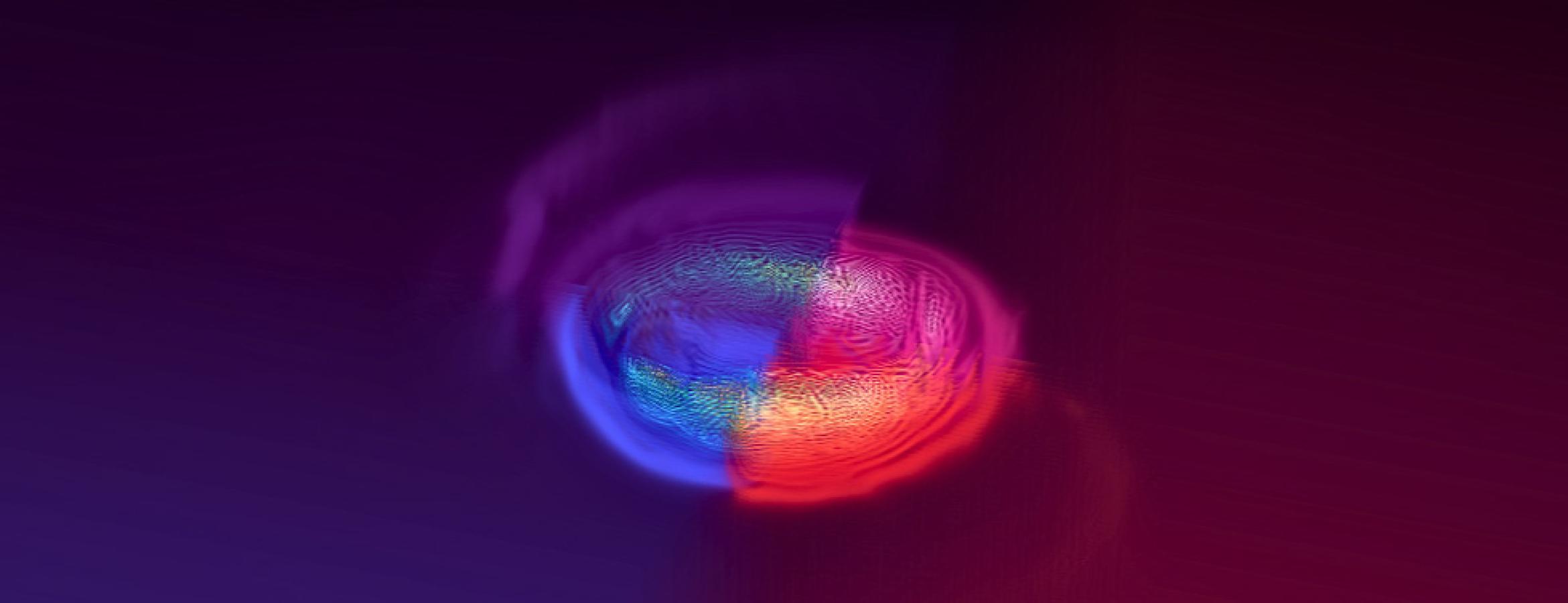 simulation of neutron star merger remnant