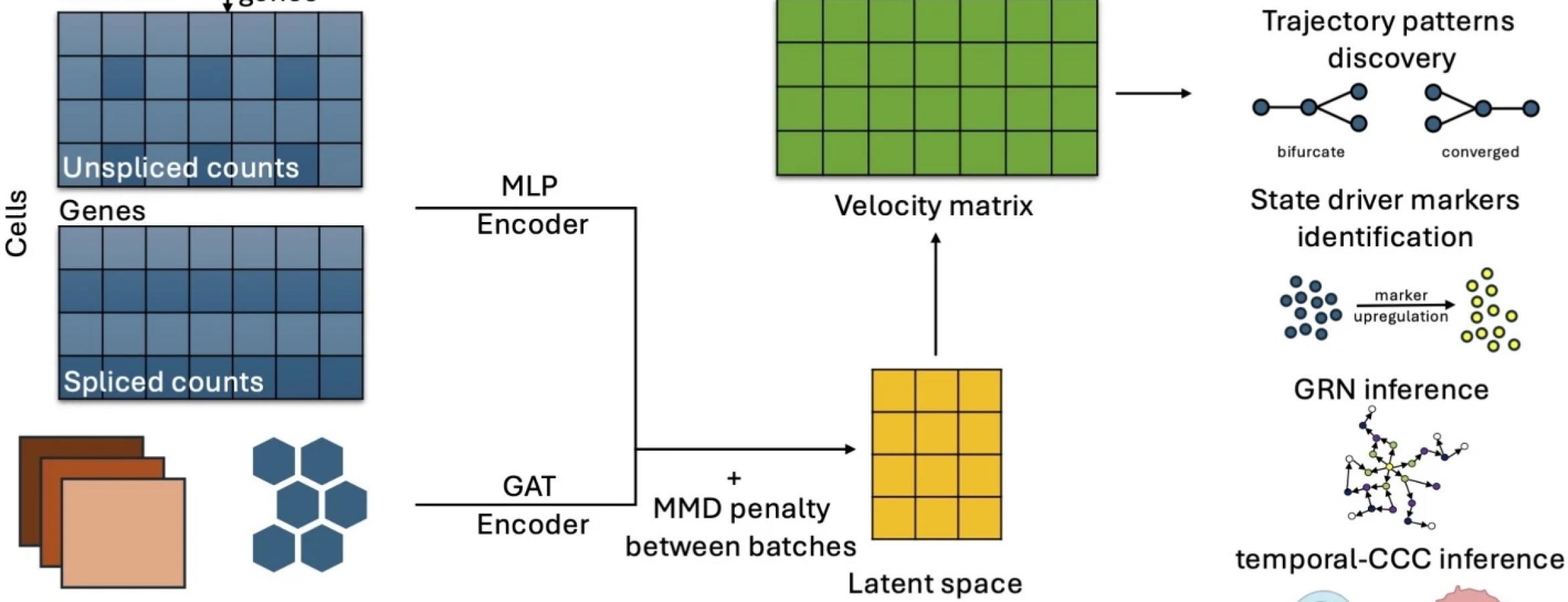 workflow diagram of spVelo method