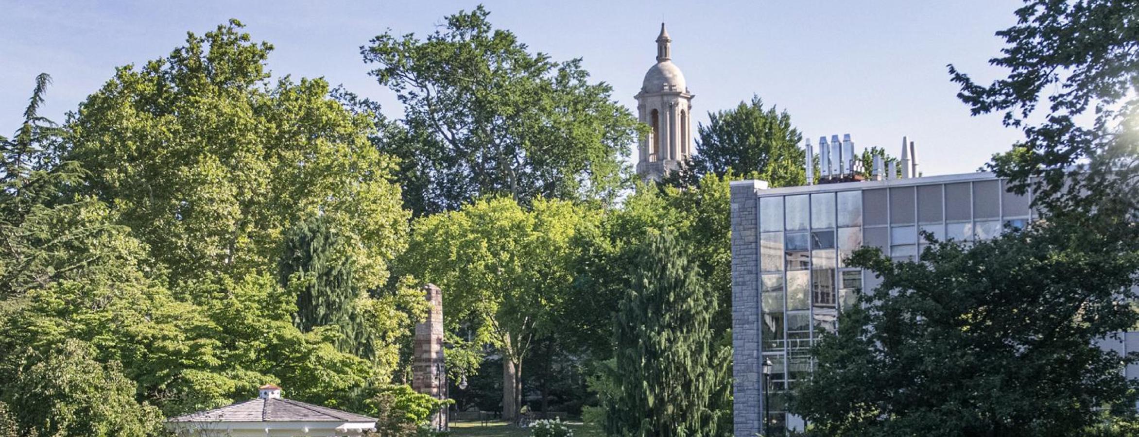 Hintz Lawn with old main bell tower in background