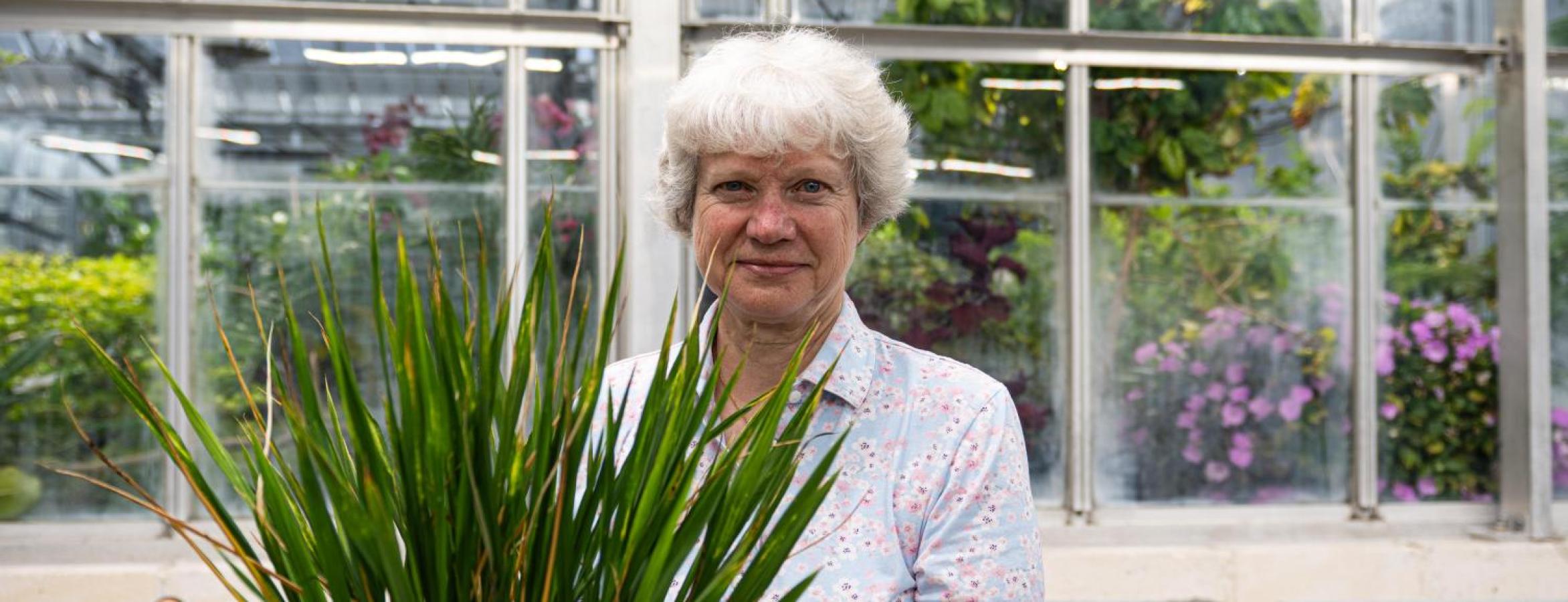 Sally Assmann in the greenhouse holding a potted plant