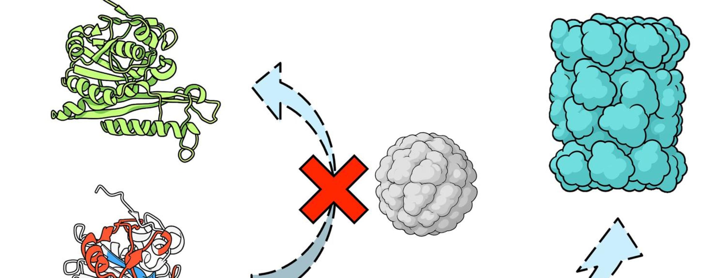 illustration of protein misfolding