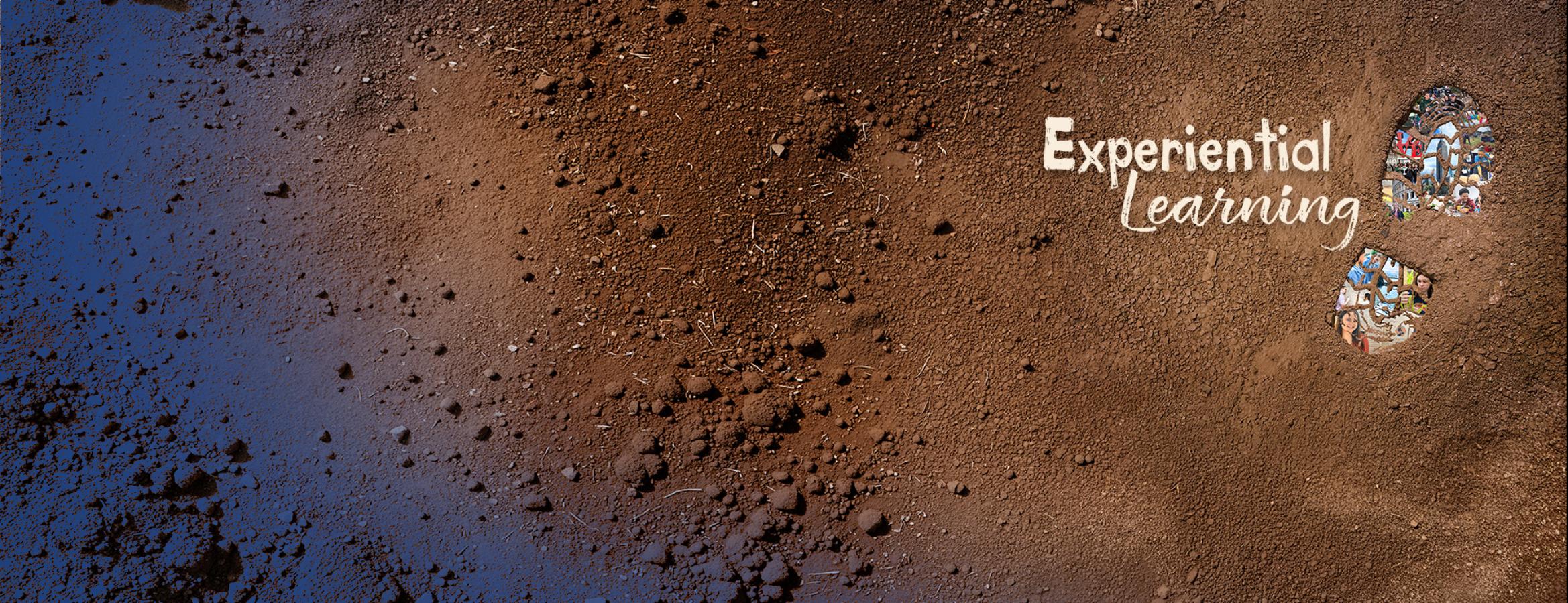 Science Journal Fall 2026 hero banner image for the "Experimental Learning" theme.