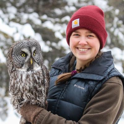 Person with red hat holding great gray owl