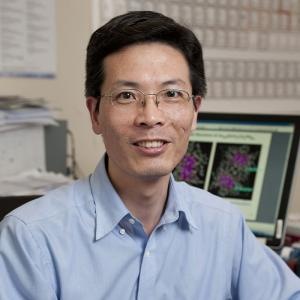 Rongchao Jin.