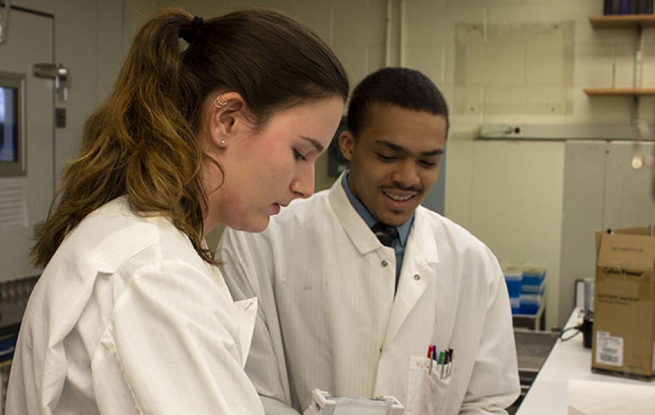 UNDERGRADUATE STUDENTS WORKING IN THE LAB