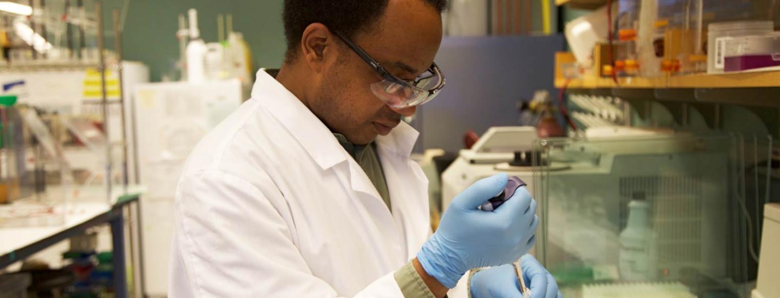 Researcher from the Department of Chemistry working in the laboratory.