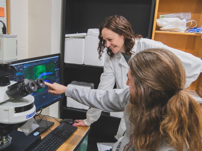 Janine Kwapis and a graduate student research looking at an image on a monitor.