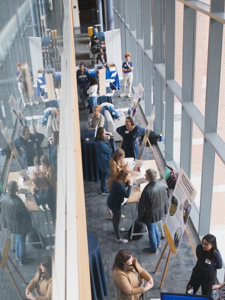 SeED Conference attendees mingle at the poster gallery.