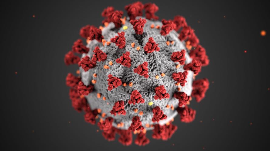 corona virus illustration