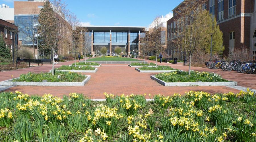 Verne M Willaman Gateway to the Sciences with Ritenour Building on the left and Thomas Building on the right.