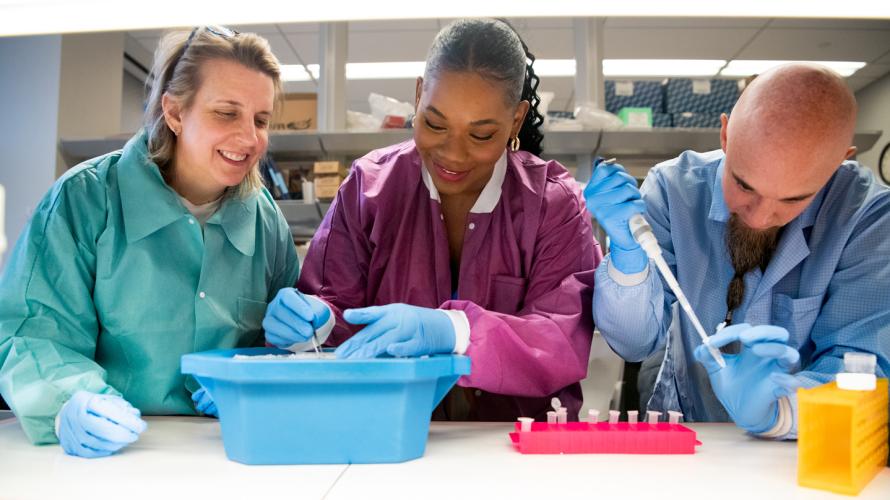 Beth McGrawl working with two graduate student researchers in her lab.