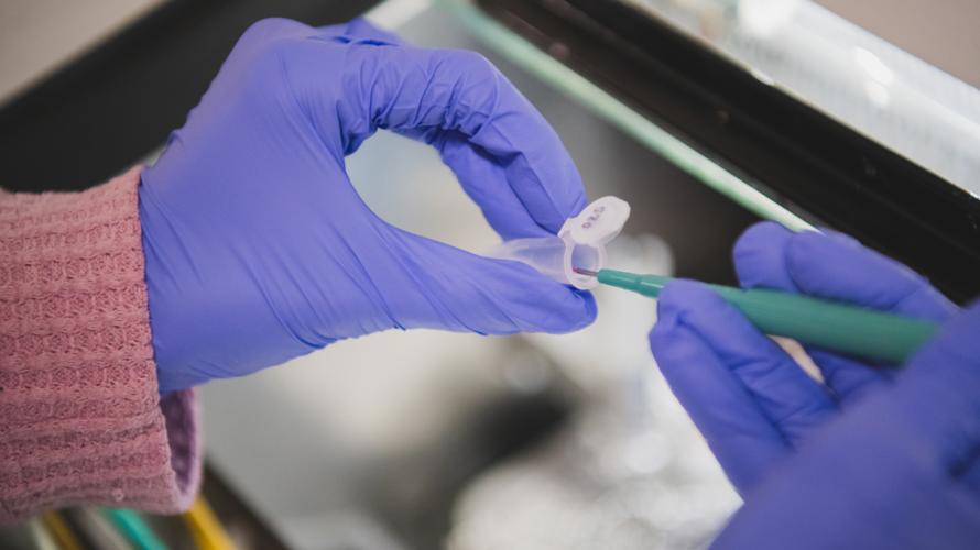 Close up photo of researcher using a syringe to put material in a vile for testing.