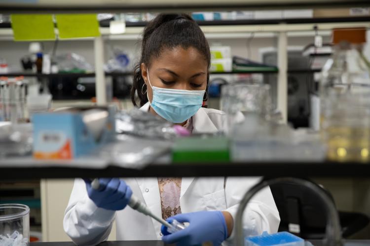 Image of student researcher working at the lab bench