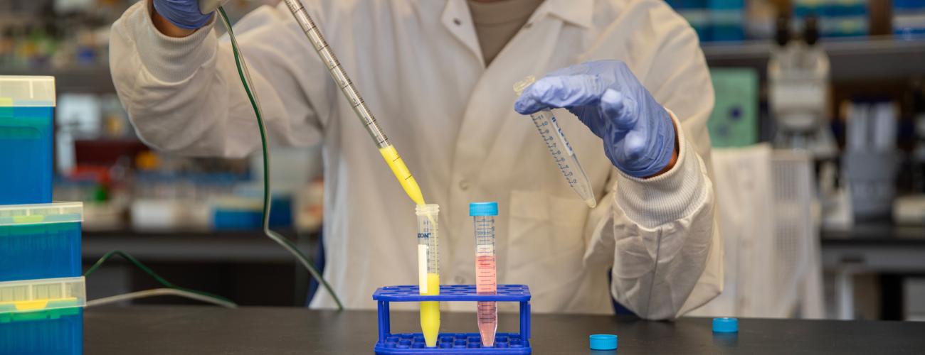 Researcher wearing a lab coat and blue gloves uses a pipette to transfer liquid into sample tubes on a laboratory bench.