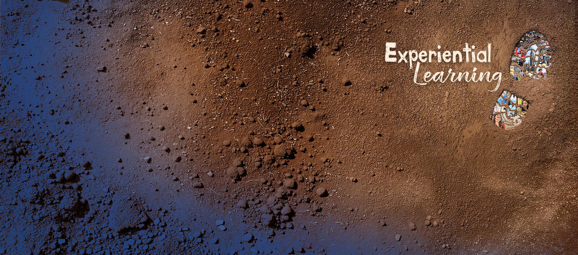 Science Journal Fall 2026 hero banner image for the "Experimental Learning" theme.