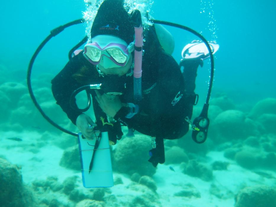 Diver in coral reef