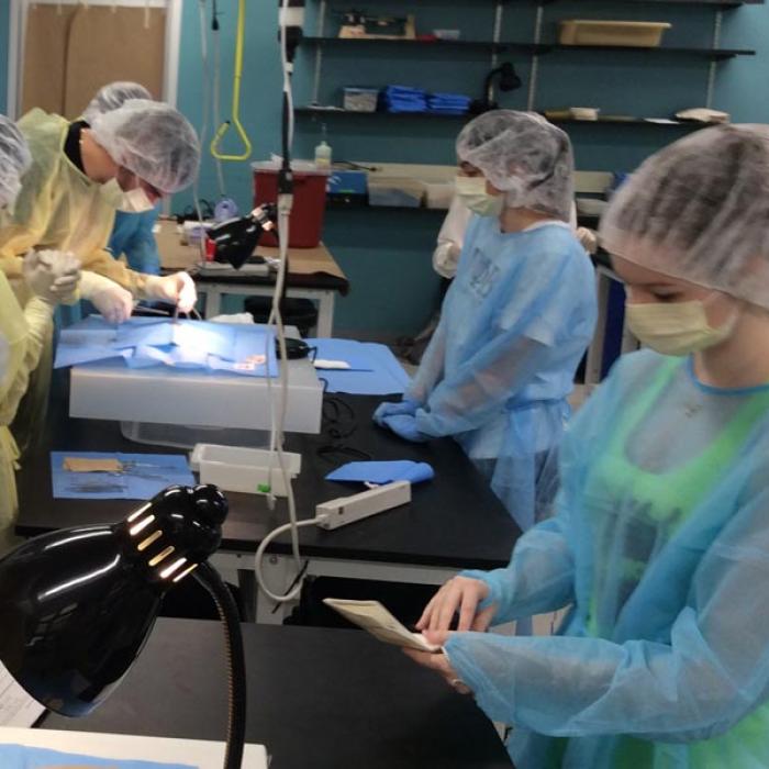 Biology students working in the laboratory.