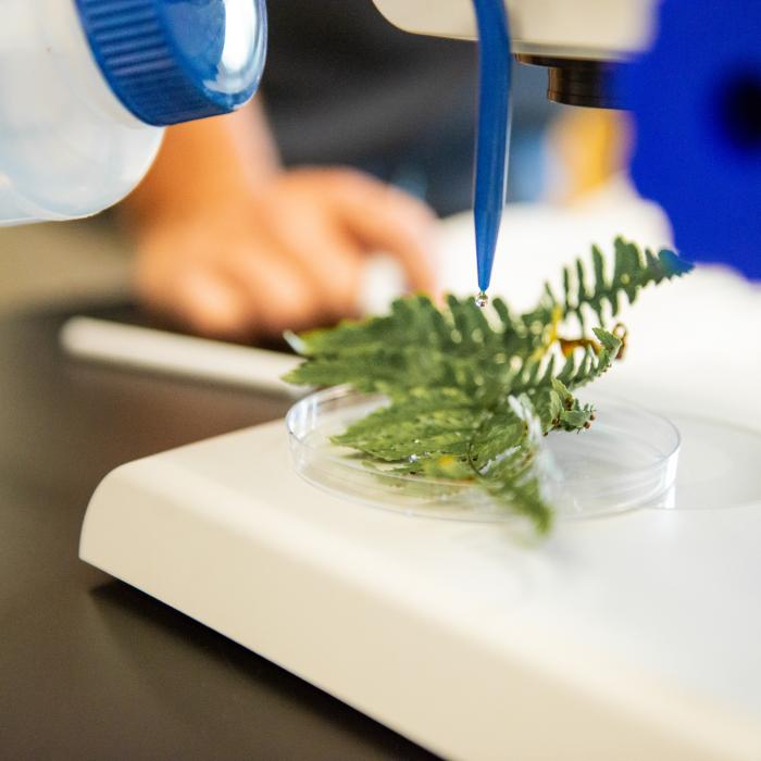 A plant biology lab.