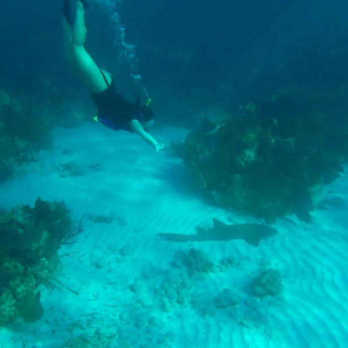 Kaelonnah Darlich swimming in the Florida Keys