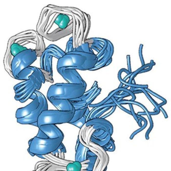 protein 3D structure